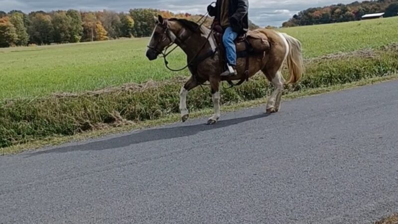 Big Run Park - Morrisdale, PA