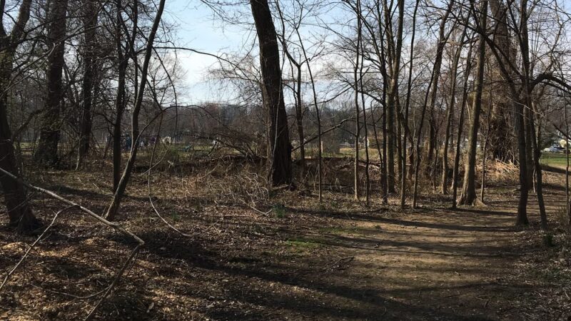 Lidgerwood Park - Morristown, NJ