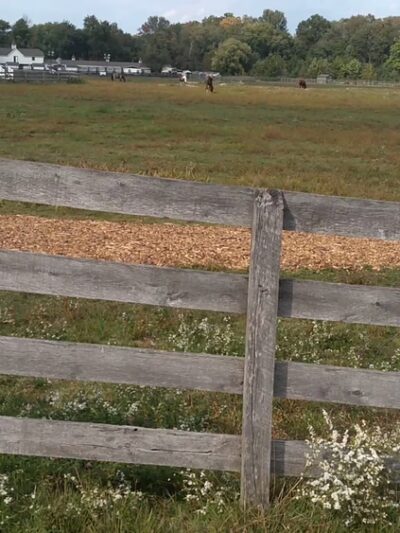 Loantaka Park - Morristown, NJ