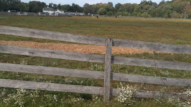 Loantaka Park - Morristown, NJ