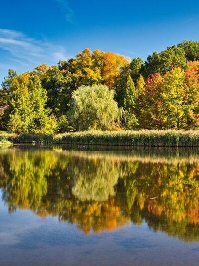 Loantaka Park - Morristown, NJ