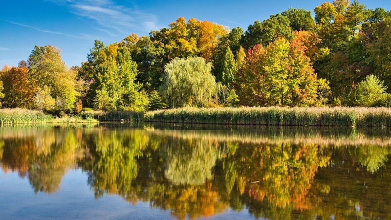 Loantaka Park - Morristown, NJ