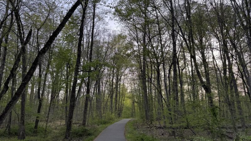 Loantaka Park - Morristown, NJ