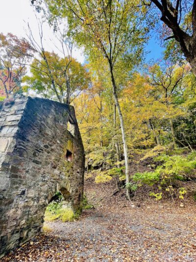 Speedwell Lake Park - Morristown, NJ