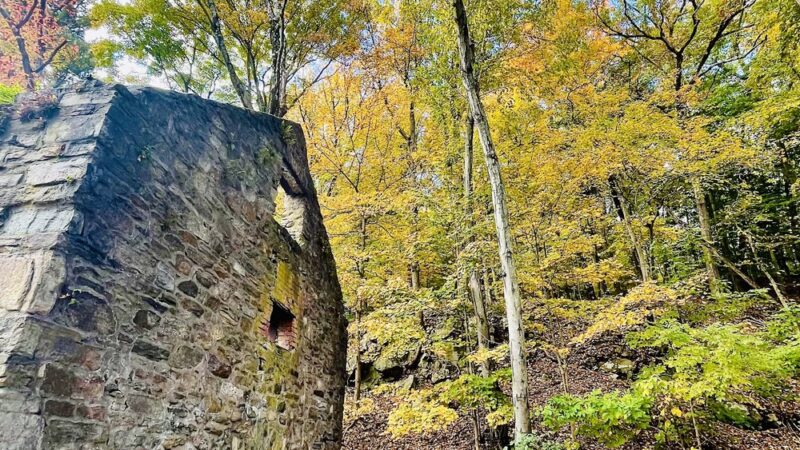 Speedwell Lake Park - Morristown, NJ