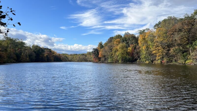 Speedwell Lake Park - Morristown, NJ