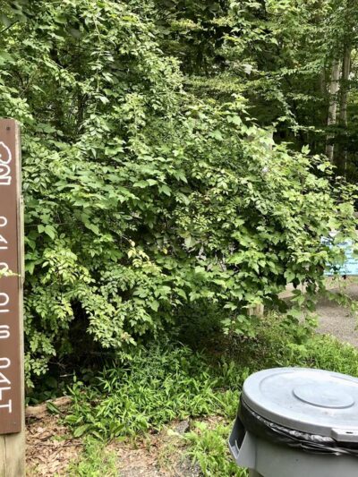 Trail Access for the Patriot’s Path - Morristown, NJ