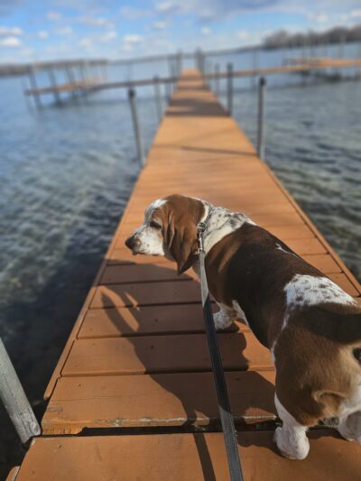 Avalon Park - Mound, MN