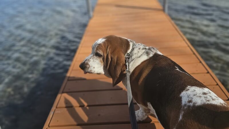 Avalon Park - Mound, MN