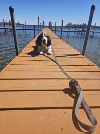 Avalon Park - Mound, MN