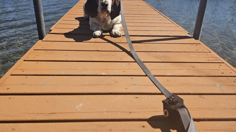 Avalon Park - Mound, MN