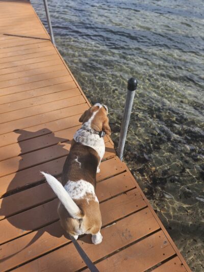 Avalon Park - Mound, MN