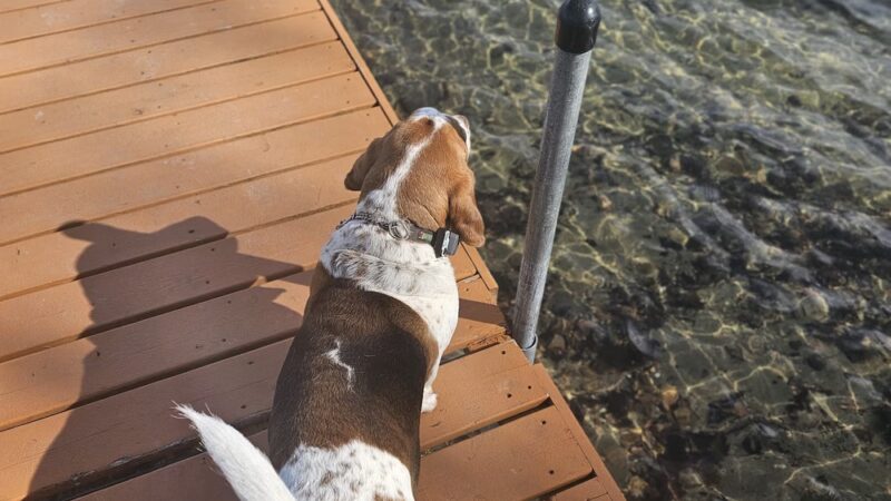 Avalon Park - Mound, MN