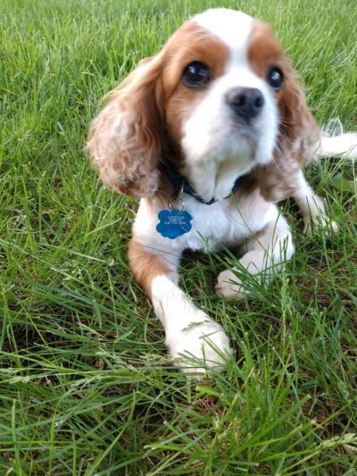 Highland Park - Mound, MN