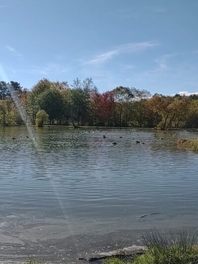 Ralph Stout Park - Mountain City, TN