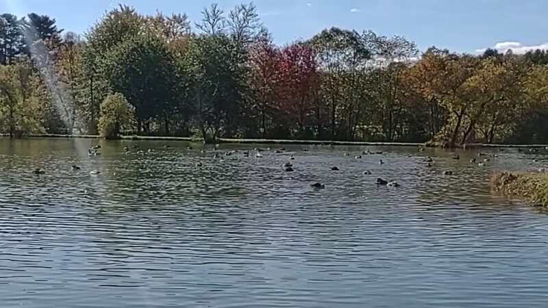 Ralph Stout Park - Mountain City, TN