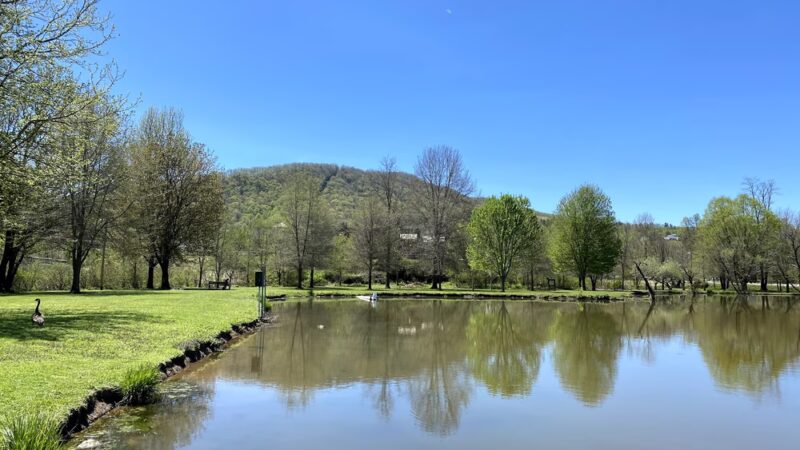 Ralph Stout Park - Mountain City, TN