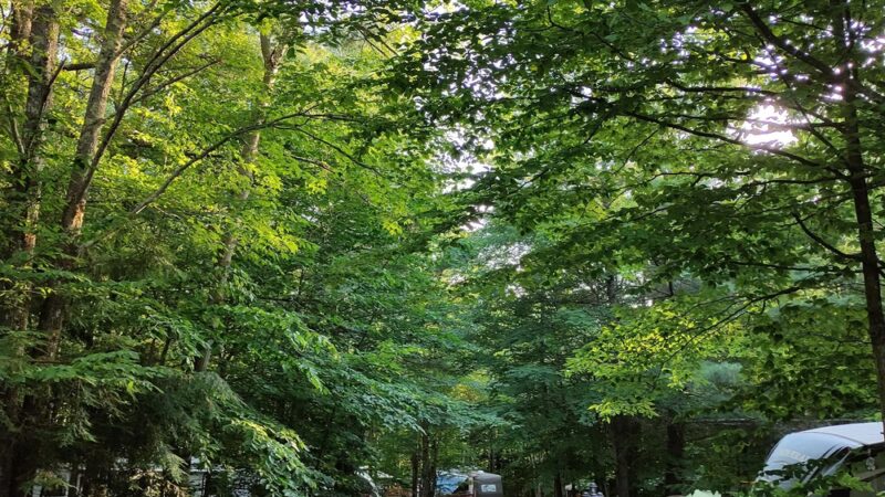 Mountaindale Campground - Mountain Dale, NY