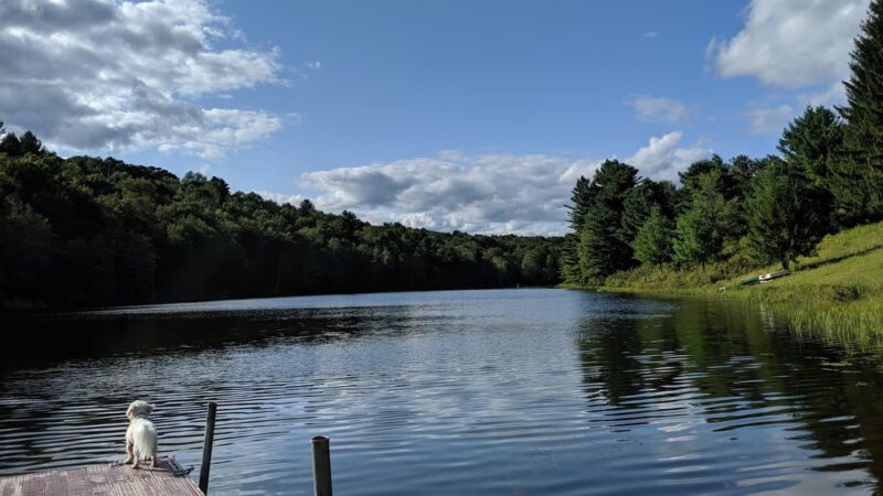 Mountaindale Park - Mountain Dale, NY
