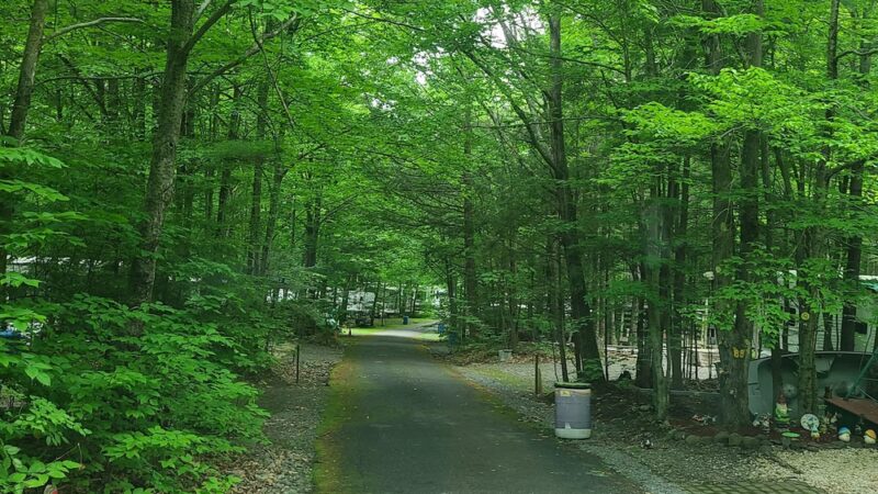 Mountaindale Park - Mountain Dale, NY