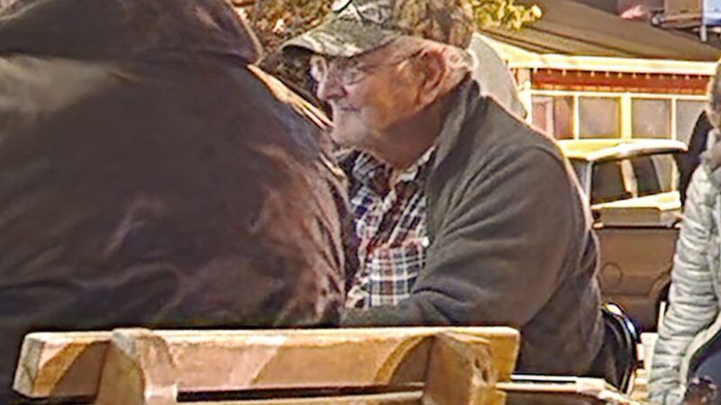 Washington Street Park - Mountain View, AR