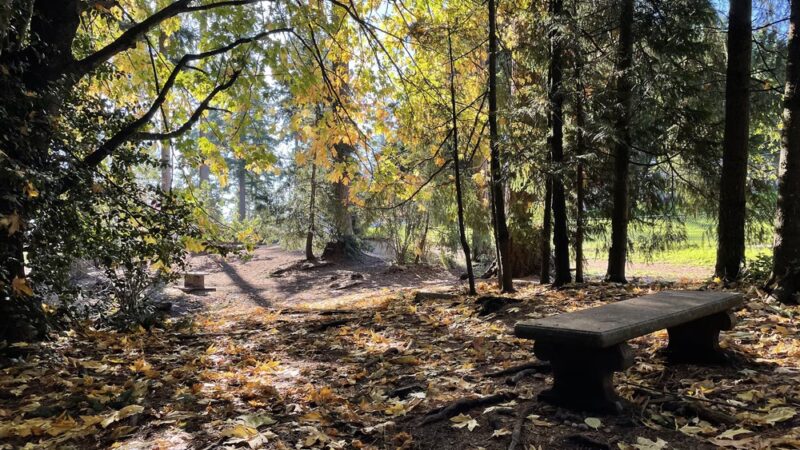 Mountlake Terrace Off-Leash Dog Park - Mountlake Terrace, WA