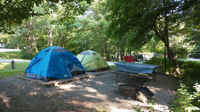 Grayson Highlands Campground - Mouth of Wilson, VA