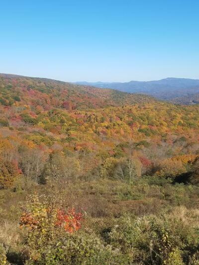 Grayson Highlands Campground - Mouth of Wilson, VA
