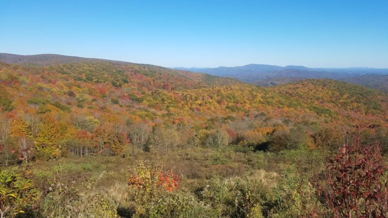 Grayson Highlands Campground - Mouth of Wilson, VA