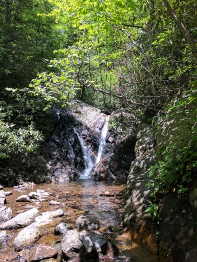 Grayson Highlands Campground - Mouth of Wilson, VA