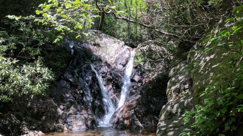 Grayson Highlands Campground - Mouth of Wilson, VA