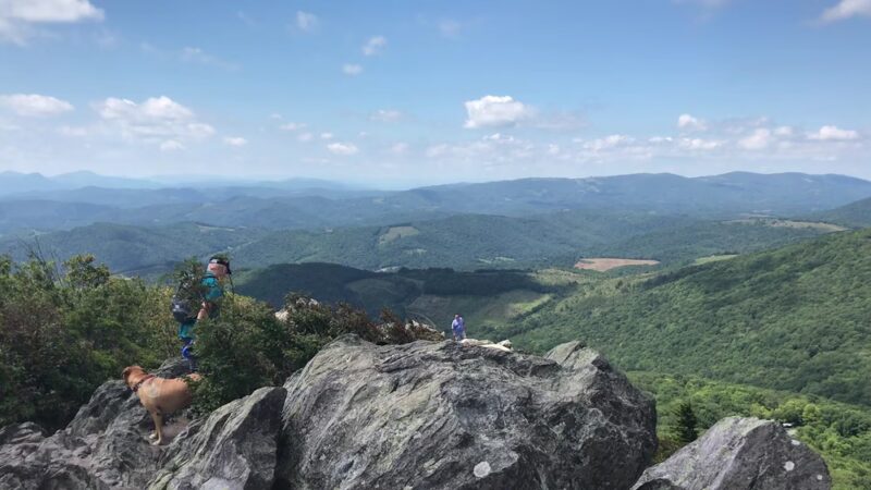 Grayson Highlands State Park - Mouth of Wilson, VA
