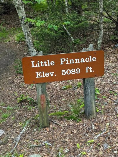 Little Pinnacle - Mouth of Wilson, VA