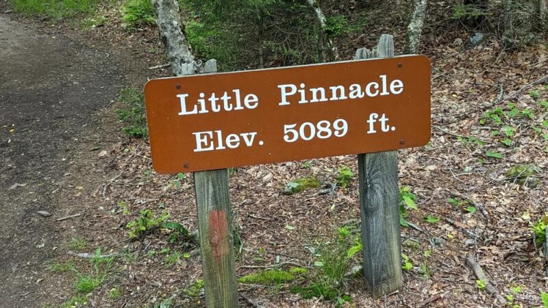 Little Pinnacle - Mouth of Wilson, VA