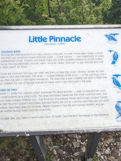 Little Pinnacle - Mouth of Wilson, VA