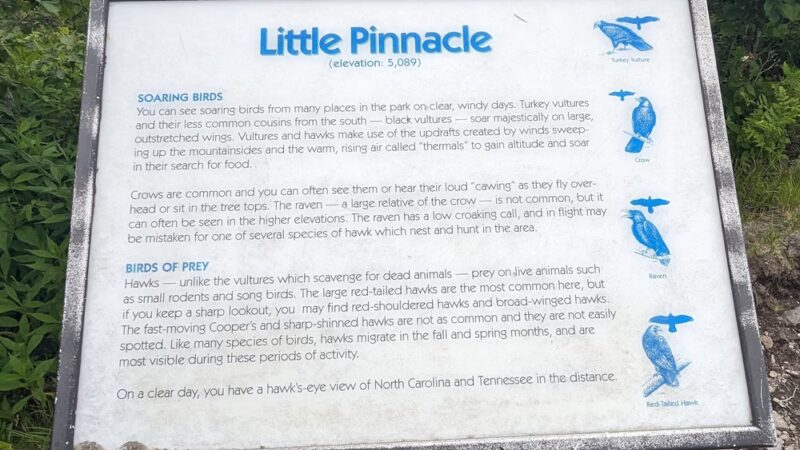 Little Pinnacle - Mouth of Wilson, VA