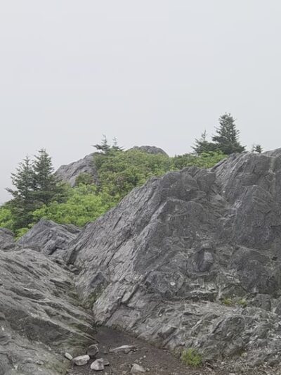 Massie Gap - Mouth of Wilson, VA