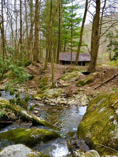 Mouth of Wilson - Mouth of Wilson, VA