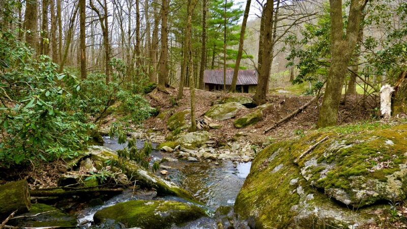 Mouth of Wilson - Mouth of Wilson, VA