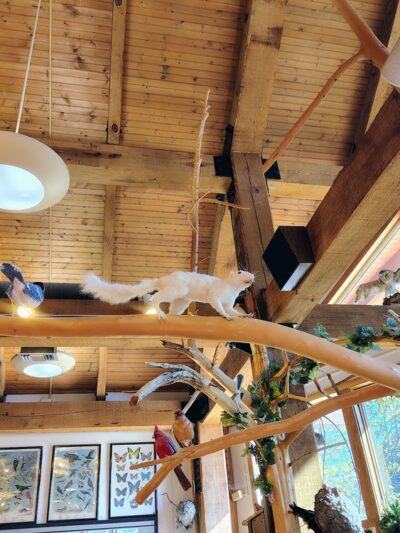 Visitors Center - Mouth of Wilson, VA