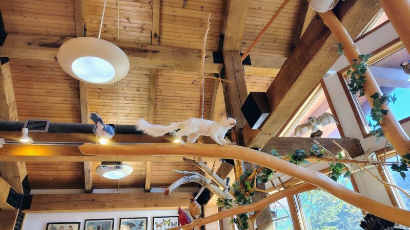 Visitors Center - Mouth of Wilson, VA