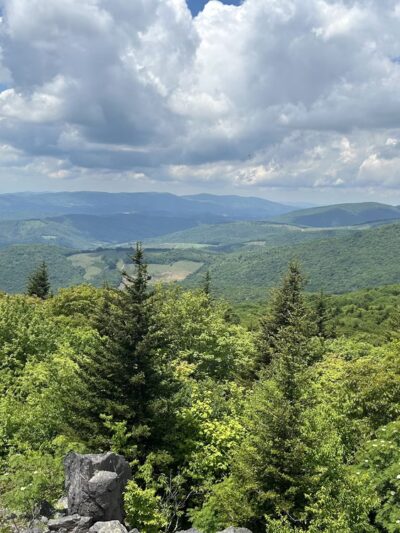 Visitors Center - Mouth of Wilson, VA