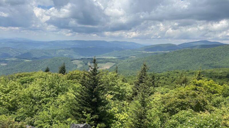 Visitors Center - Mouth of Wilson, VA