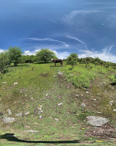 Wise Shelter - Mouth of Wilson, VA