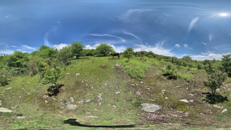 Wise Shelter - Mouth of Wilson, VA