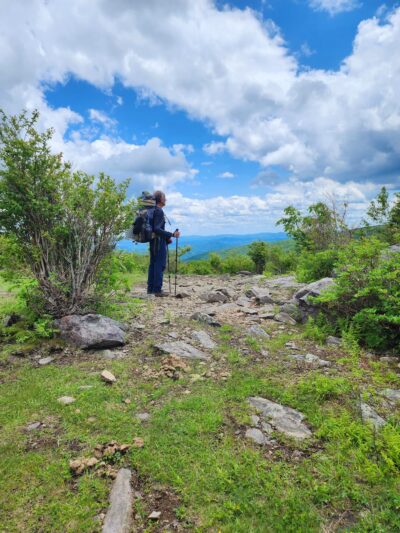 Wise Shelter - Mouth of Wilson, VA
