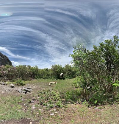 Wise Shelter - Mouth of Wilson, VA