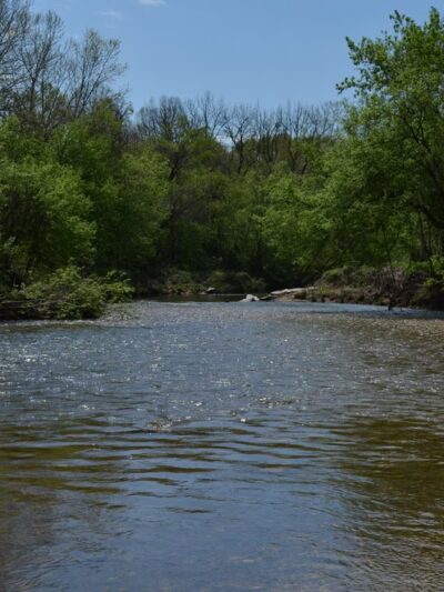 Greenway Dog Park - Mt Airy, NC