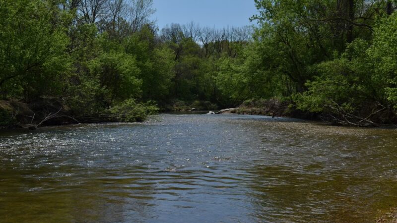 Greenway Dog Park - Mt Airy, NC