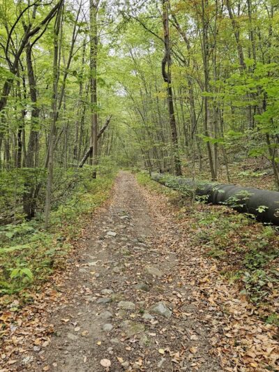 Berkshire Valley State Wildlife Management Area - Mt Arlington, NJ